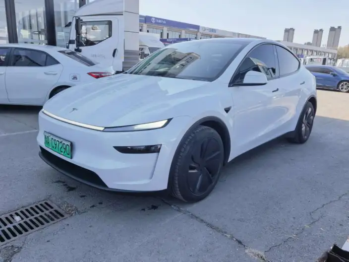 Model Y 2025 Model Long Battery Life Pro All-wheel drive version – фото 1