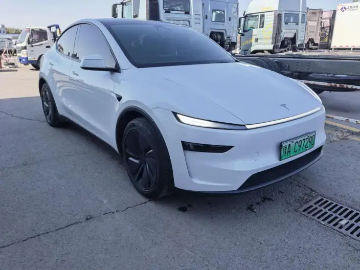 Model Y 2025 Model Long Battery Life Pro All-wheel drive version – фото 3