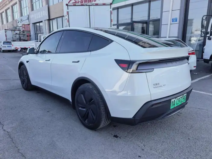 Model Y 2025 Model Long Battery Life Pro All-wheel drive version – фото 4