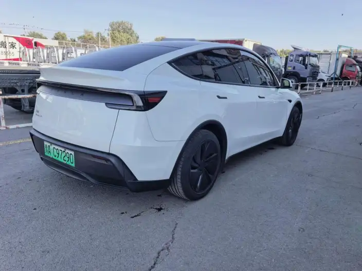 Model Y 2025 Model Long Battery Life Pro All-wheel drive version – фото 6