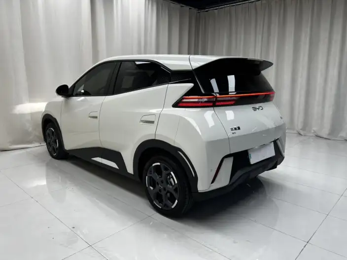 BYD Seagull 2025 Model 305KM Vitality Edition – фото 4