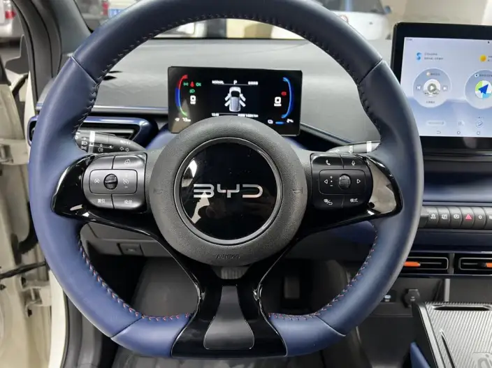 BYD Seagull 2025 Model 305KM Vitality Edition – фото 9