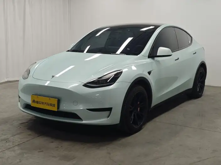 Model Y 2022 Model Rear-wheel drive version – фото 1