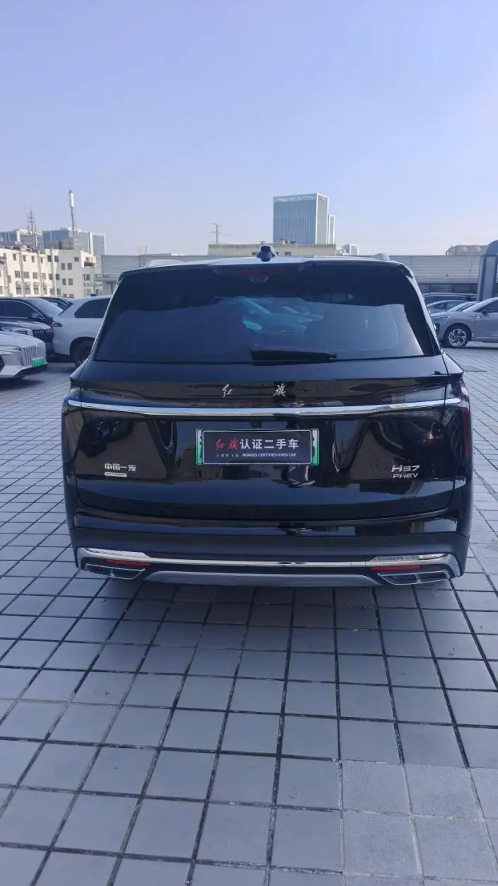 Hongqi HS7 PHEV 2024 Model 2.0T 4WD Flag Enjoy Edition 6 seat – фото 6
