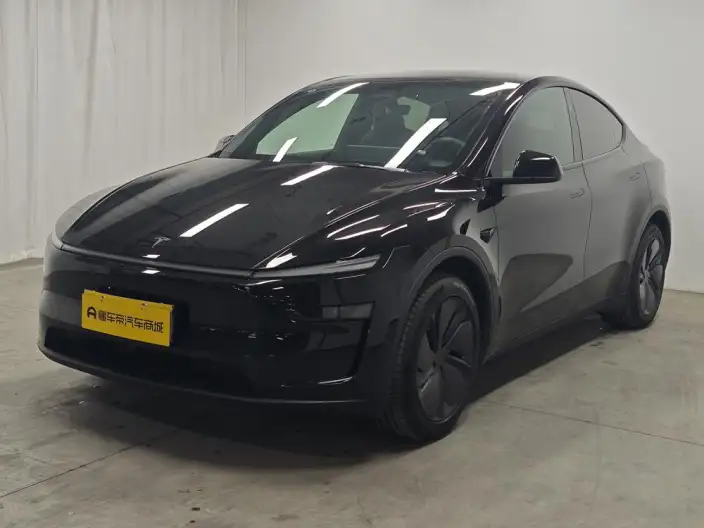 Model Y 2026 Model Long Battery Life Pro Rear-wheel drive version – фото 1
