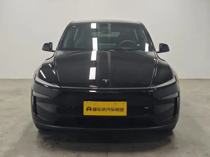 Model Y 2026 Model Long Battery Life Pro Rear-wheel drive version – фото 2