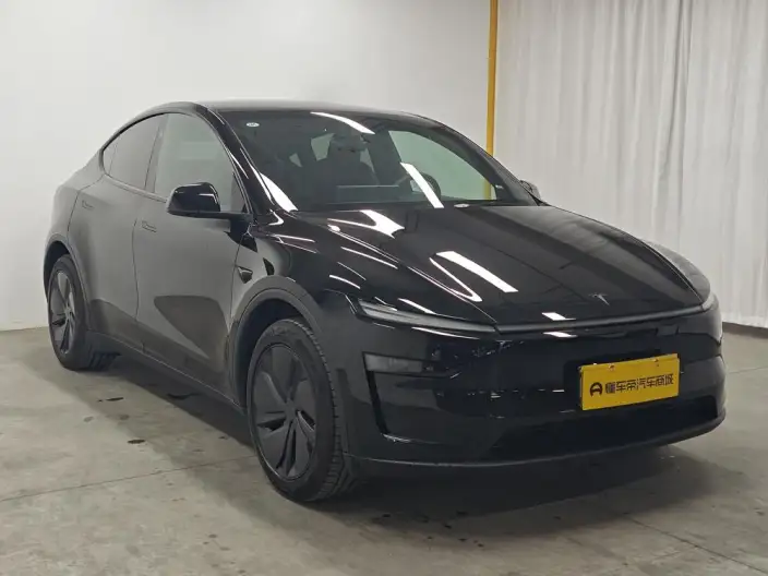 Model Y 2026 Model Long Battery Life Pro Rear-wheel drive version – фото 3