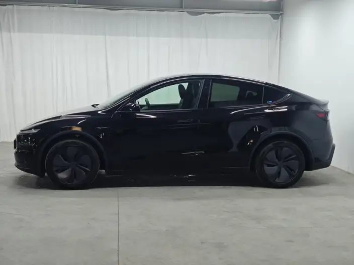 Model Y 2026 Model Long Battery Life Pro Rear-wheel drive version – фото 4