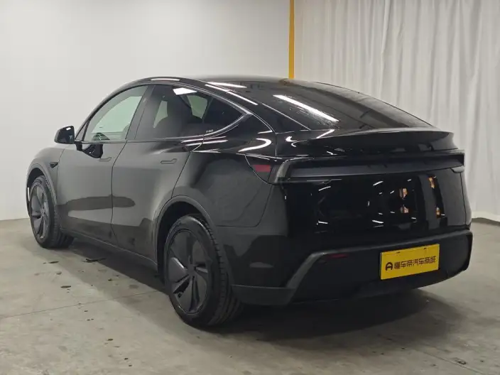 Model Y 2026 Model Long Battery Life Pro Rear-wheel drive version – фото 5