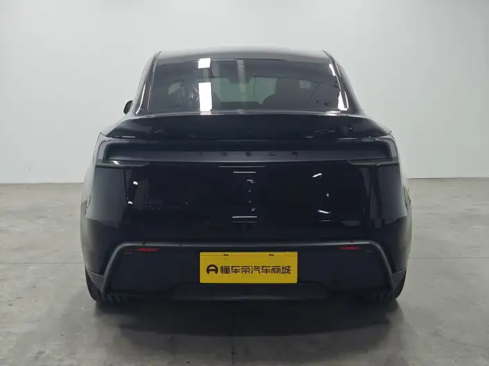 Model Y 2026 Model Long Battery Life Pro Rear-wheel drive version – фото 6