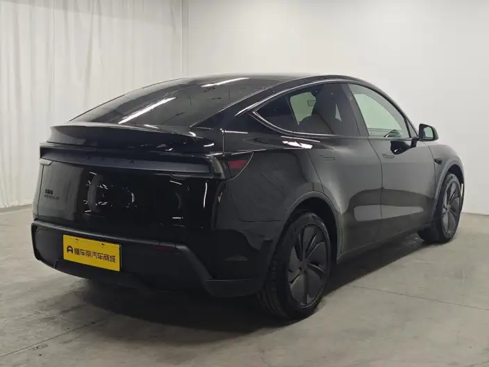 Model Y 2026 Model Long Battery Life Pro Rear-wheel drive version – фото 7