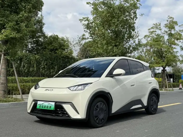 BYD Seagull 2025 Model 305KM Vitality Edition – фото 1