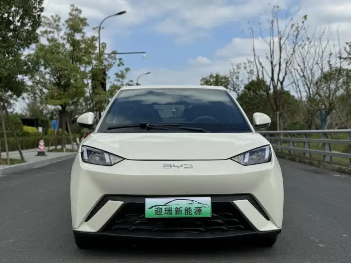 BYD Seagull 2025 Model 305KM Vitality Edition – фото 2