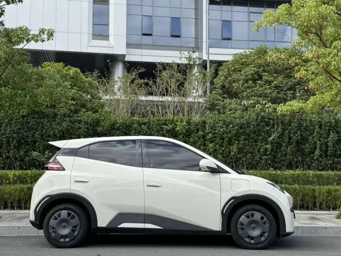 BYD Seagull 2025 Model 305KM Vitality Edition – фото 7
