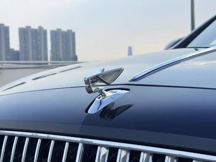 Continental Flying Spur 2024 Model 4.0T V8 Standard Edition – фото 6