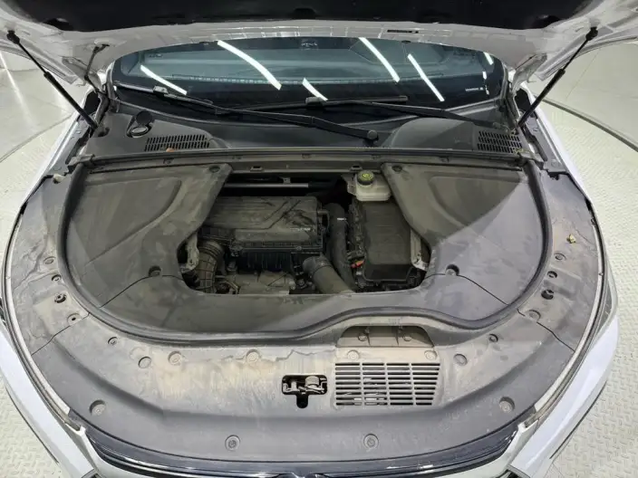 BYD Tang DM 2021 Model DM-i 1.5T 112KM Noble Model – фото 10