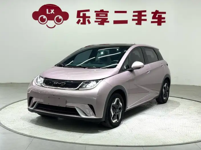 BYD Dolphin 2021 Model Fashion Edition – фото 1