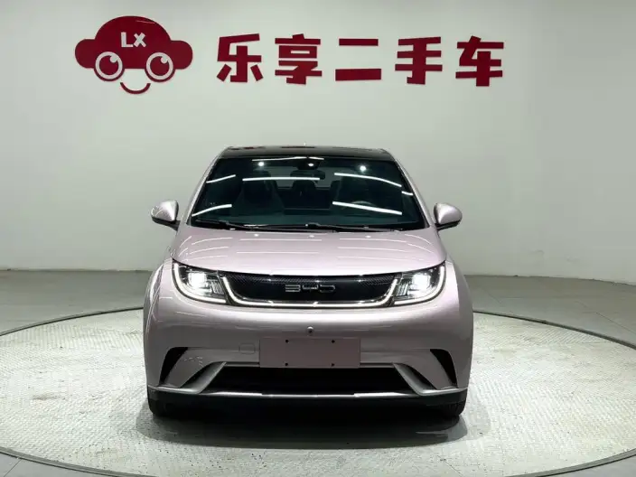 BYD Dolphin 2021 Model Fashion Edition – фото 2