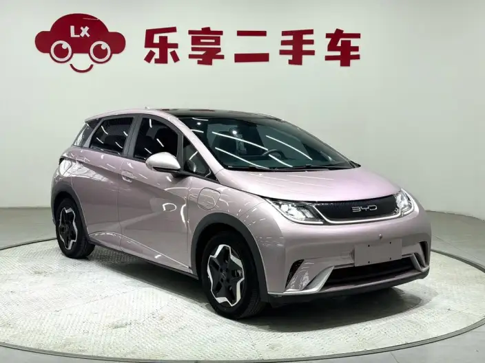 BYD Dolphin 2021 Model Fashion Edition – фото 3