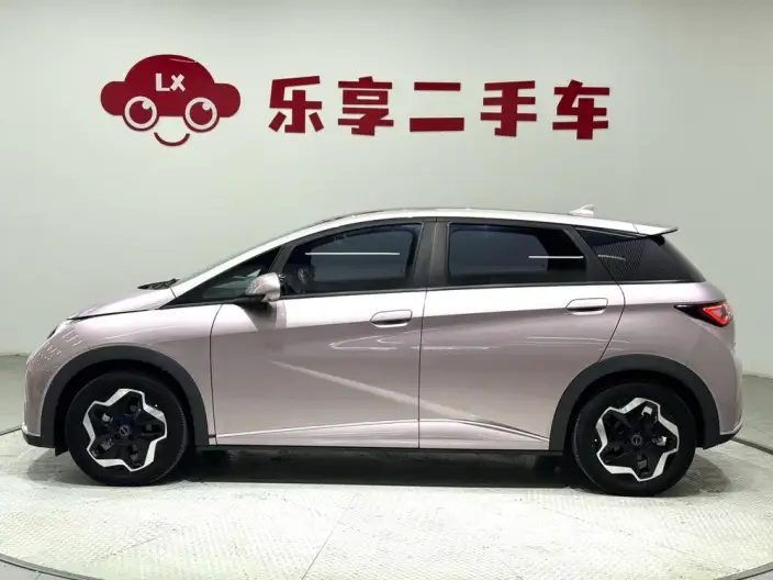 BYD Dolphin 2021 Model Fashion Edition – фото 4