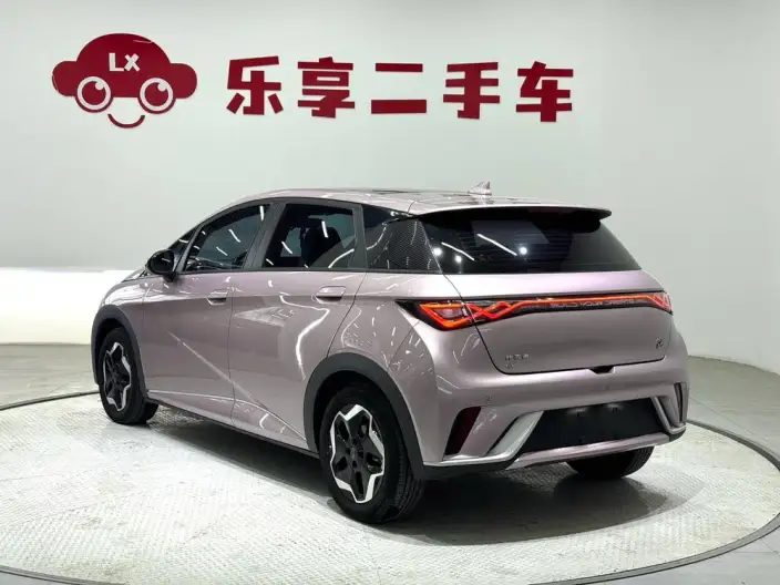 BYD Dolphin 2021 Model Fashion Edition – фото 5