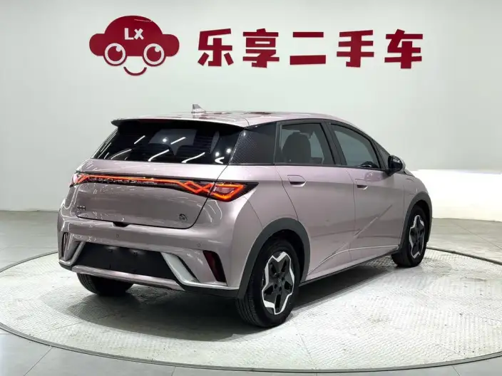 BYD Dolphin 2021 Model Fashion Edition – фото 6