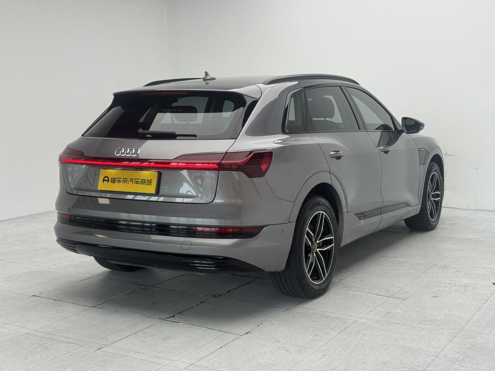 AUDI e-tron Imported Модель 2019 года 55 quattro Fashion – фото 7