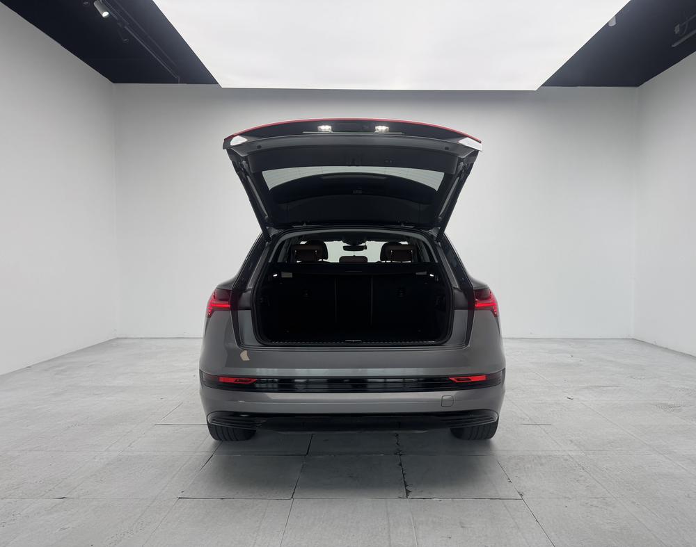 AUDI e-tron Imported Модель 2019 года 55 quattro Fashion – фото 20