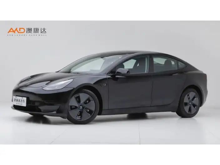 Model 3 2022 Model Rear-wheel drive version – фото 1