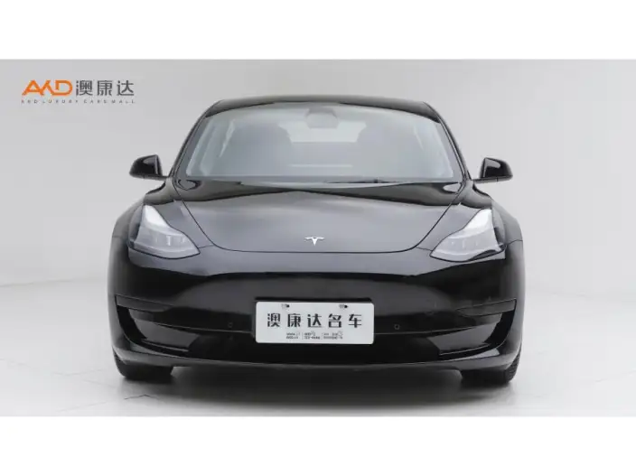 Model 3 2022 Model Rear-wheel drive version – фото 2