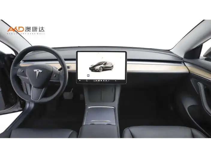 Model 3 2022 Model Rear-wheel drive version – фото 7