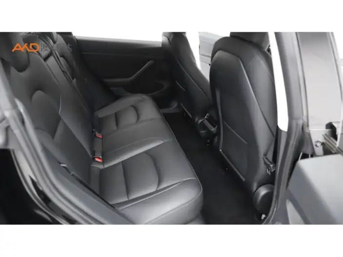 Model 3 2022 Model Rear-wheel drive version – фото 8
