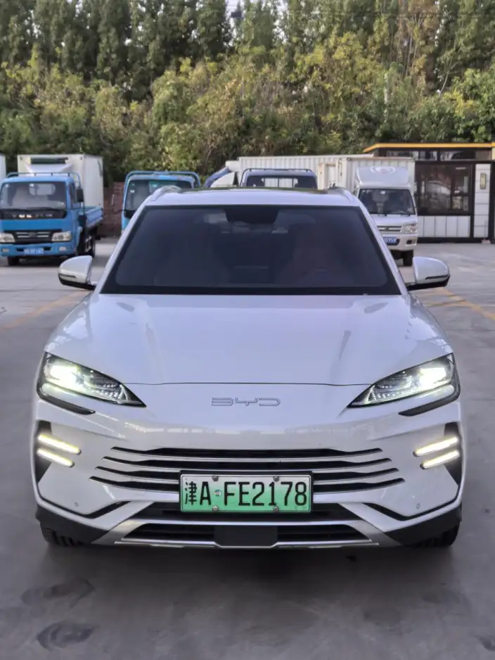 BYD Song PLUS DM 2023 Model DM-i Champion Edition 110KM Flagship Model – фото 2