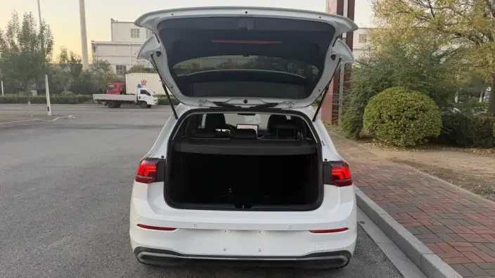 Volkswagen Golf 2025 Model 300TSI Pro – фото 8