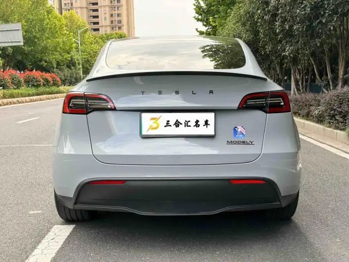 Model Y 2021 Model Performance High performance All-wheel drive version – фото 4