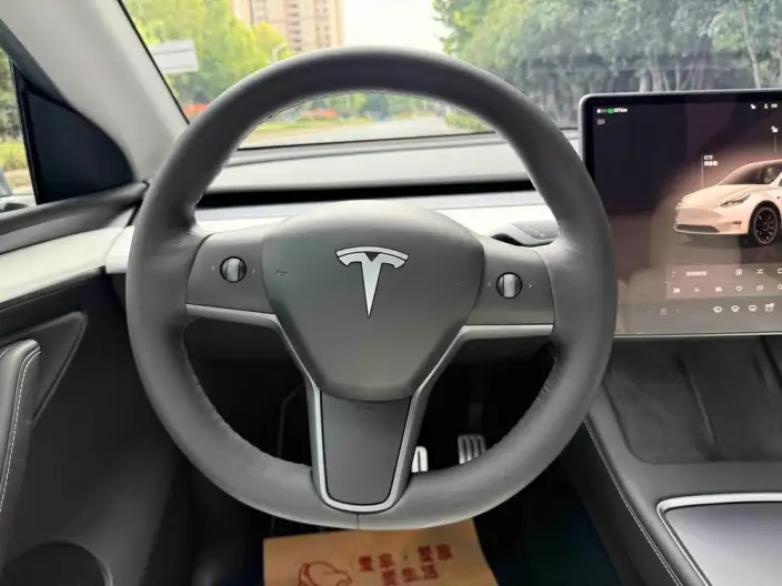 Model Y 2021 Model Performance High performance All-wheel drive version – фото 10