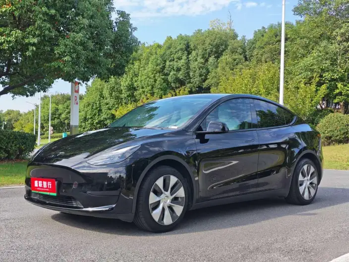 Model Y 2022 Model Rear-wheel drive version – фото 1