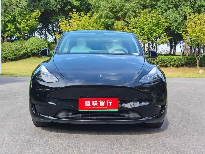 Model Y 2022 Model Rear-wheel drive version – фото 2