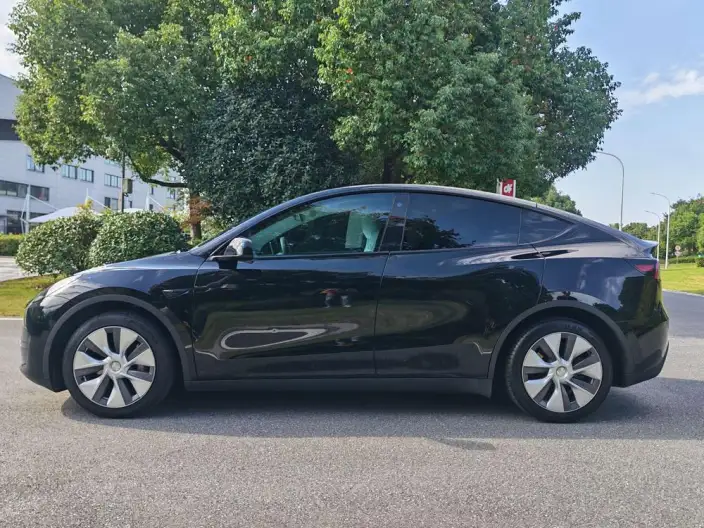 Model Y 2022 Model Rear-wheel drive version – фото 4