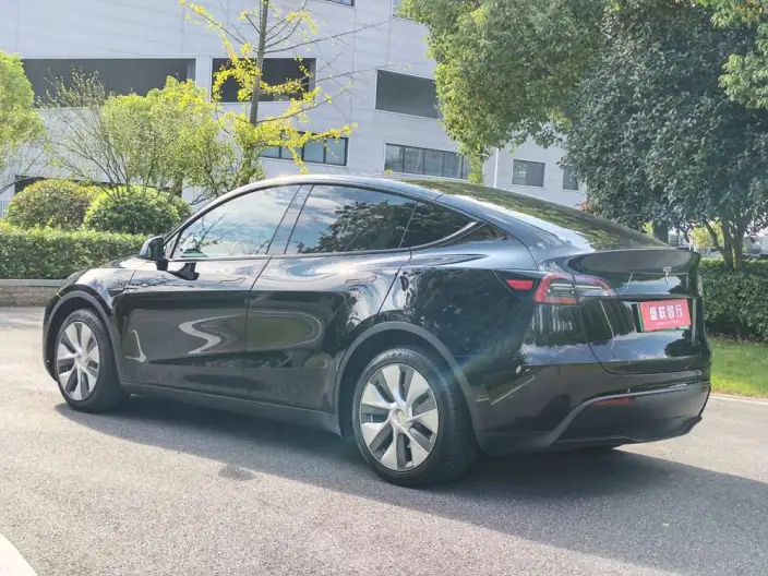 Model Y 2022 Model Rear-wheel drive version – фото 5