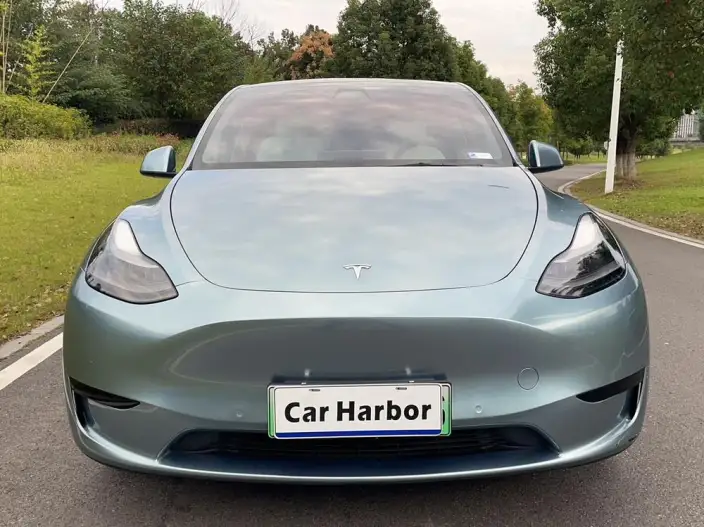 Model Y 2022 Model Rear-wheel drive version – фото 2