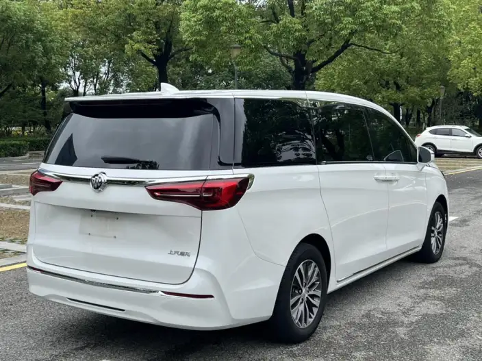 Buick GL8 2023 Model ES Luzun 2.0T Exclusive Model – фото 6