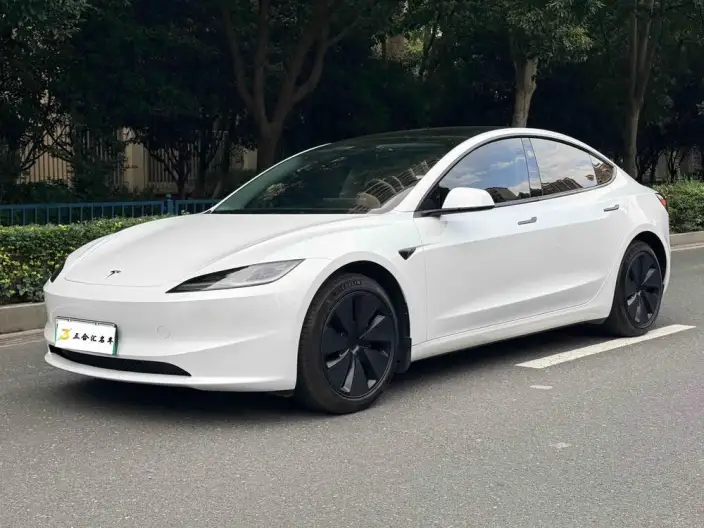 Model 3 2023 Model Rear-wheel drive version – фото 1