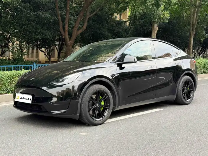 Model Y 2022 Model Facelift Rear-wheel drive version – фото 1