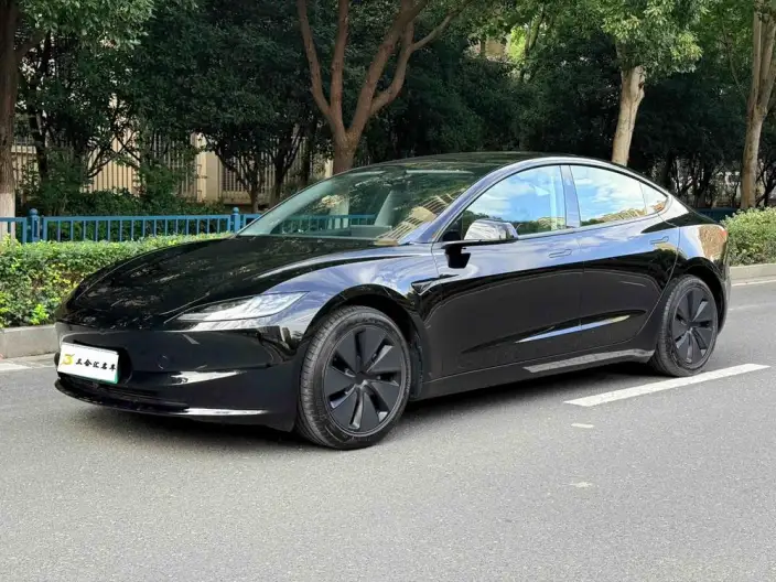 Model 3 2025 Model Facelift Rear-wheel drive version – фото 1