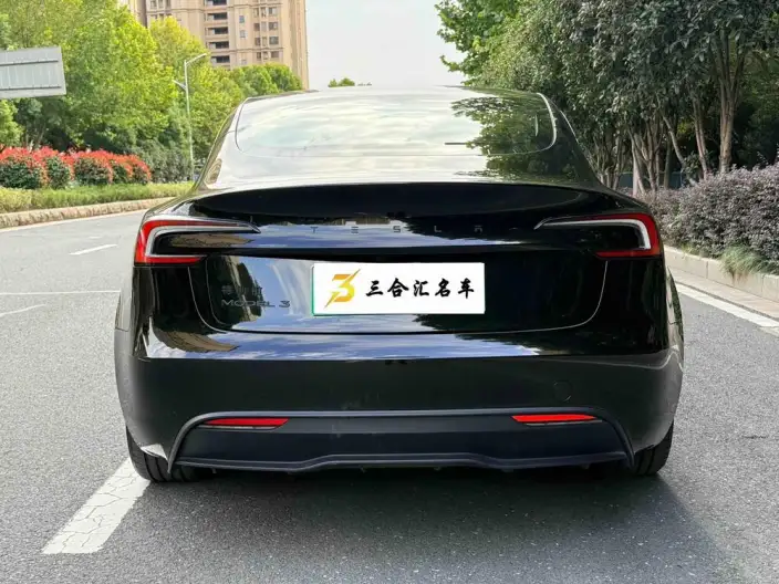 Model 3 2025 Model Facelift Rear-wheel drive version – фото 4