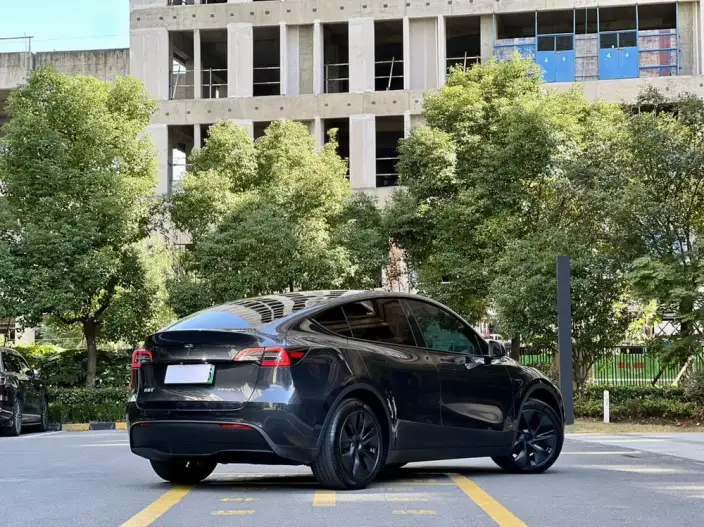 Model Y 2024 Model Rear-wheel drive version – фото 6