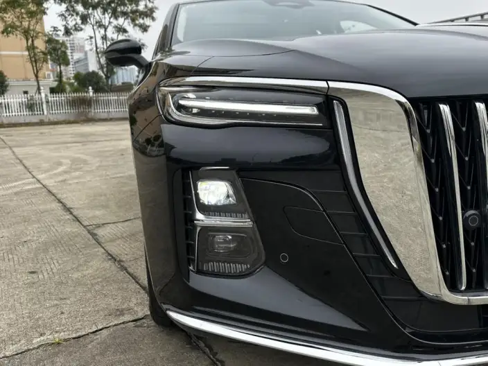 Hongqi H5 2025 Model 2.0T Automatic Flag Enjoy Edition – фото 9