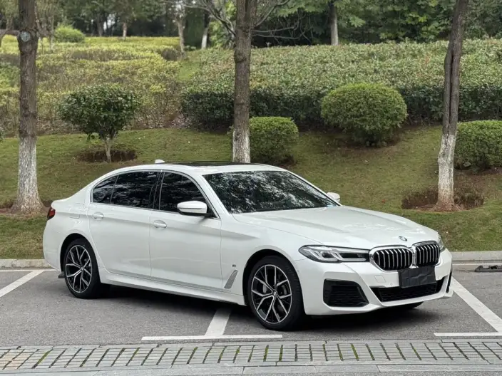 BMW 5 Series 2022 Model 530Li Exclusive Model M Sports Set – фото 3