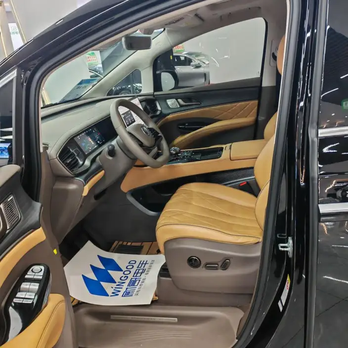 DENZA D9 DM 2022 Model 970 4WD Flagship Model – фото 6